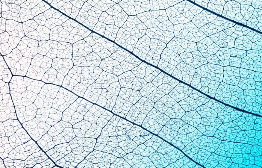 Chirurgie des anévrismes